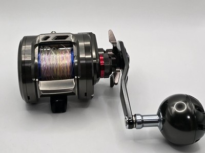 Daiwa Saltiga BJ 200SH Baitcast Reel Right Hand from Japan | eBay