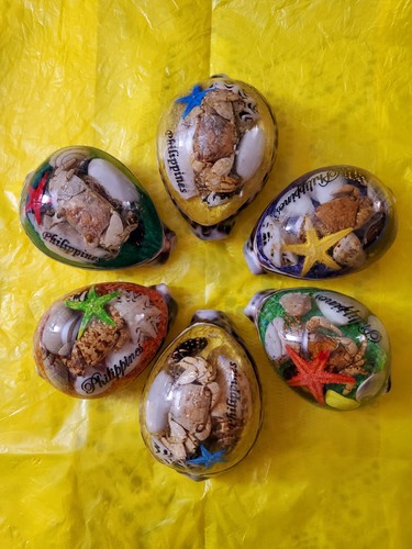 6 PHILIPPINES Real Cowrie Shell w/ inlay handcrafted Paperweight decor souvenir
