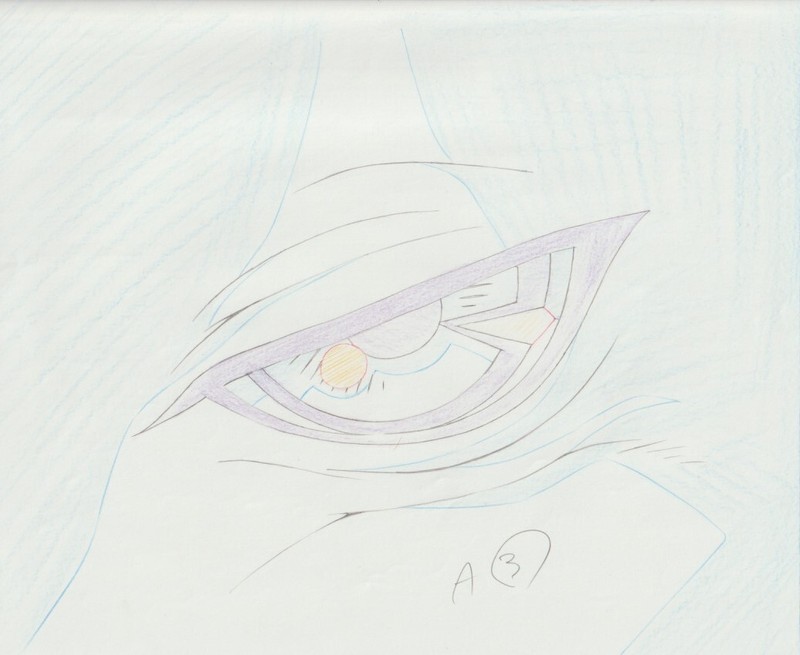 The Twelve Kingdoms Juuni Kokki Genga Douga Original Sketches Pierrot - Keiki