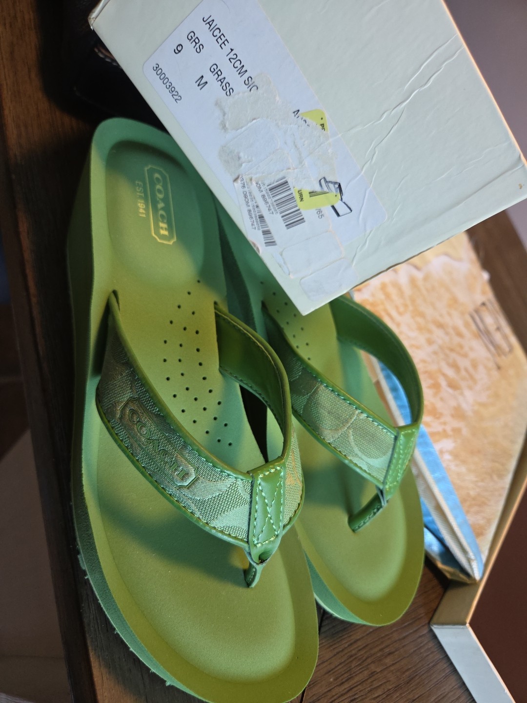 Women's Coach Jessalyn Blue Green  Flip Flop Thong Sandals Shoes New In Box 9