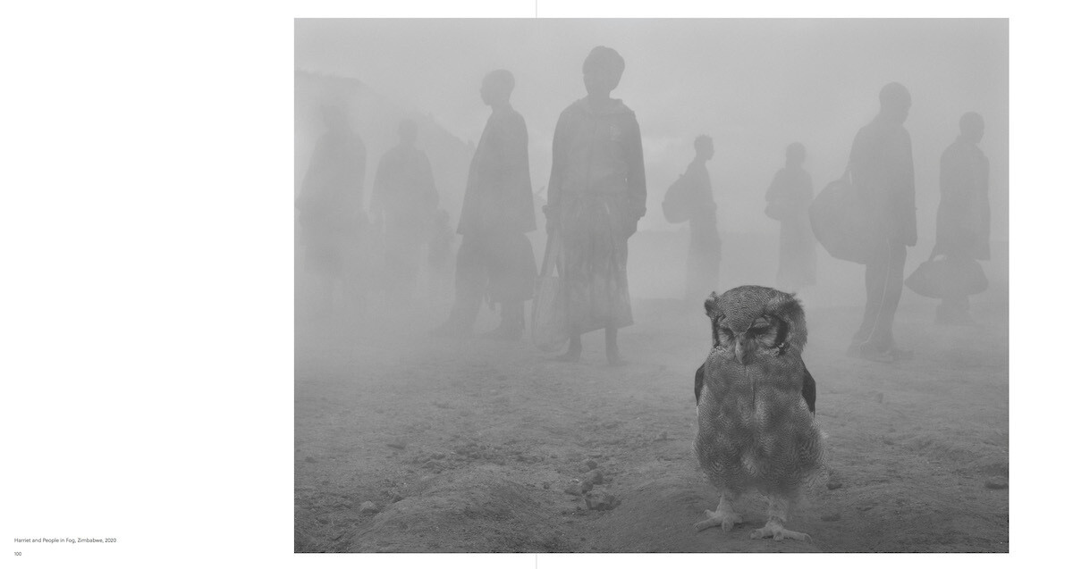 Thumbnail - Nick Brandt | The Day May Break | Nadine Barth | Englisch | Buch | 168