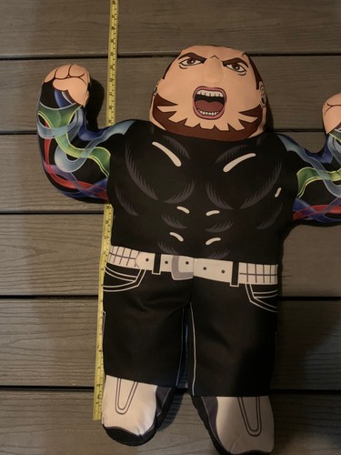 3 WWE superstar buddies wrestling pillows plush John cena Matt Jeff Hardy Boys - 第 23/23 張圖片
