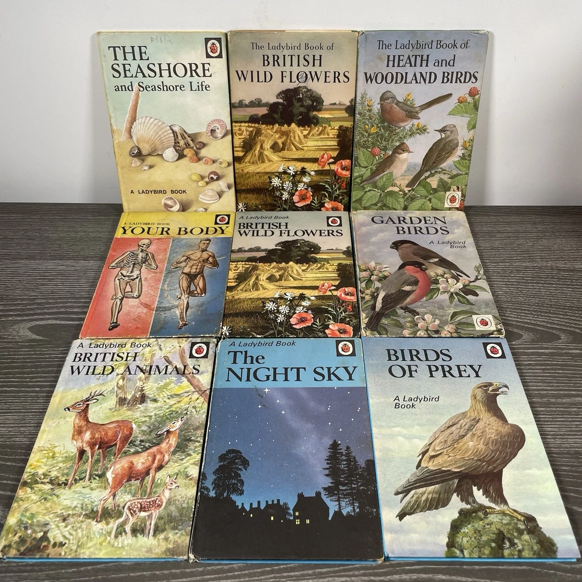 Ladybird Books Antiquarian & Collectible Books for sale | eBay