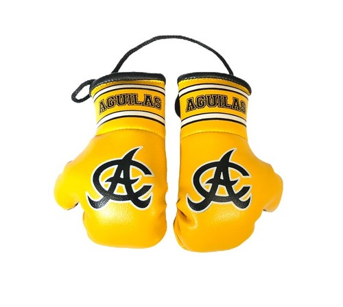 Gant De Boxe Souvenir - Signé Cotto Vs Carmelo - Collection Nazo Boxing USA