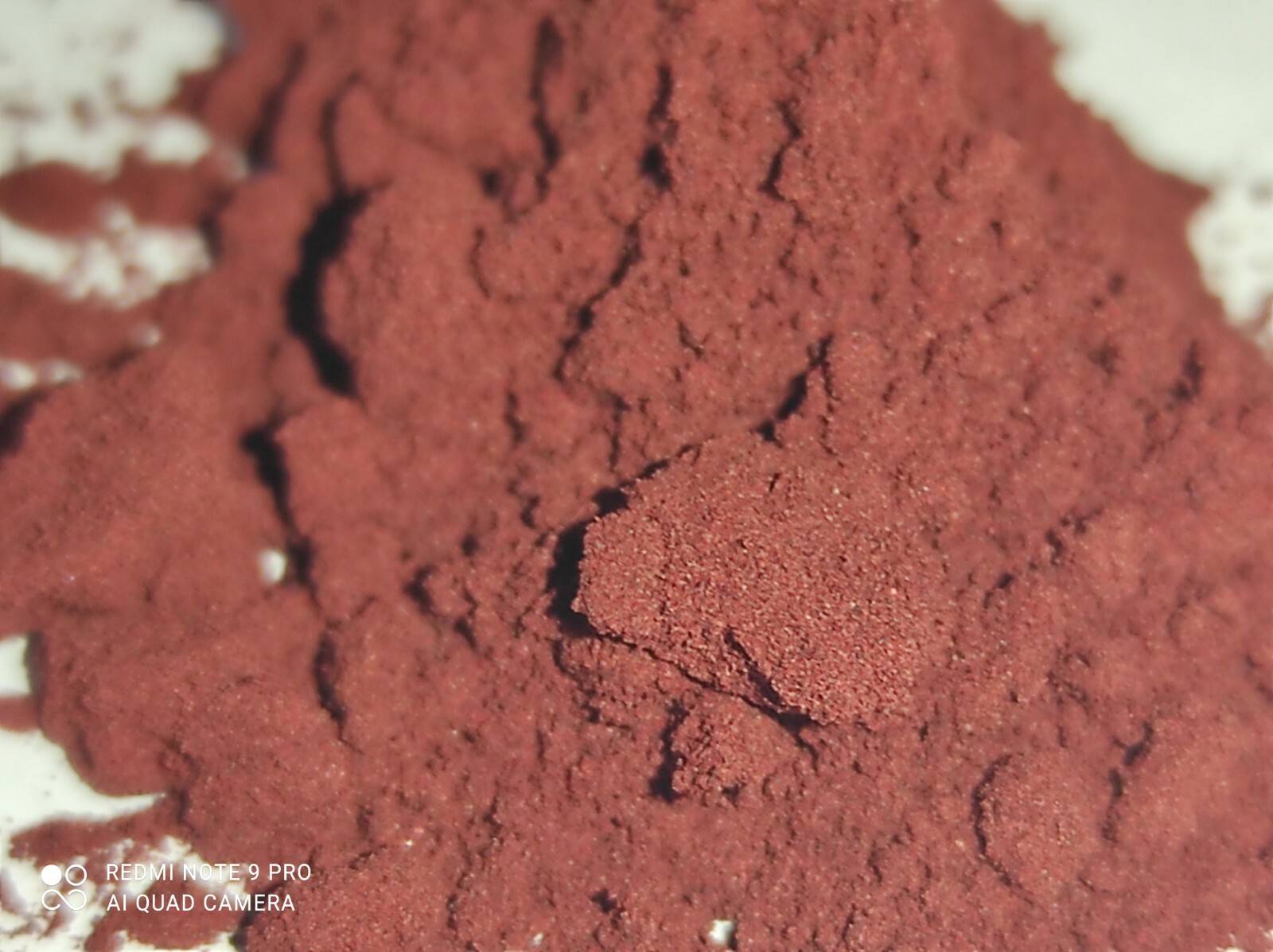 astaxantina 10 grammi pura Astaxanthin discus caridine acquario canarini Uccell