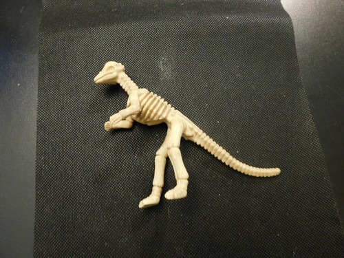 DINOSAUR SKELETON! e798XCX - Picture 4 of 4