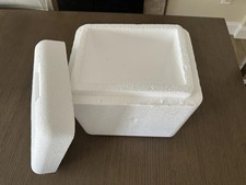 Izolowany styropianowy pojemnik na piankę chłodzący 