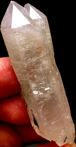 25g 1 STÜCK ZEPTER! Super Seven Skelett Amethyst Quarz Kristall DT innen s889
