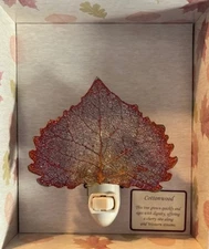 The Rose Lady Pretty Real Leaf Night Lights, Choice of 3 Designs/Colors