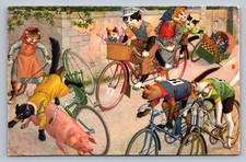 Postcard Kunzli  Dressed Cats Bicycle Race Printed in Switzerland 1951  K300