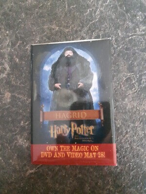 Harry Potter And The Philosopher's Stone Hagrid Movie Lapel Pin Button Pinback