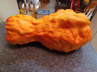 Chicken Wing Sculpted Foam Hat NFL Buffalo Bills Mafia Winghead Drummie Hat 