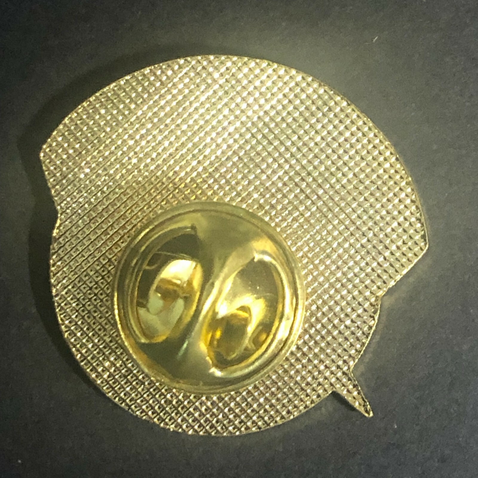 Official NASA "KSC Speakers Bureau" (Kennedy Space Center) Enamel Lapel