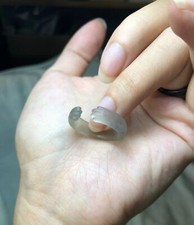 7 size grey ice jade rings , cat's paw