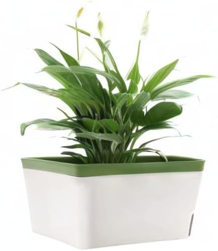 Self Watering Planter Pots Window Box for Indoor Plants Home Garden Modern Decor - Picture 8 of 12