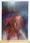 AMAZING SPIDER-MAN #1 SDCC 2025 Momoko FOIL Variant LTD To 1000 (SEE PHOTOS)