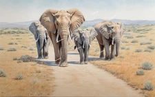 Customised African Elephant Family - Wall Art