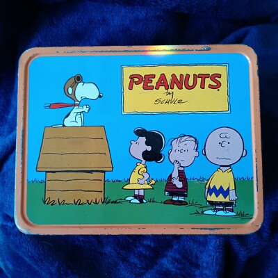 Vintage Peanuts Metal Lunchbox And Thermos Very Clean | eBay