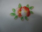 Bild 5 von 8