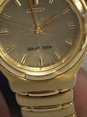 Citizen Women's 8230-H18016 Solar-Tech Eco Drive Gold Tone
