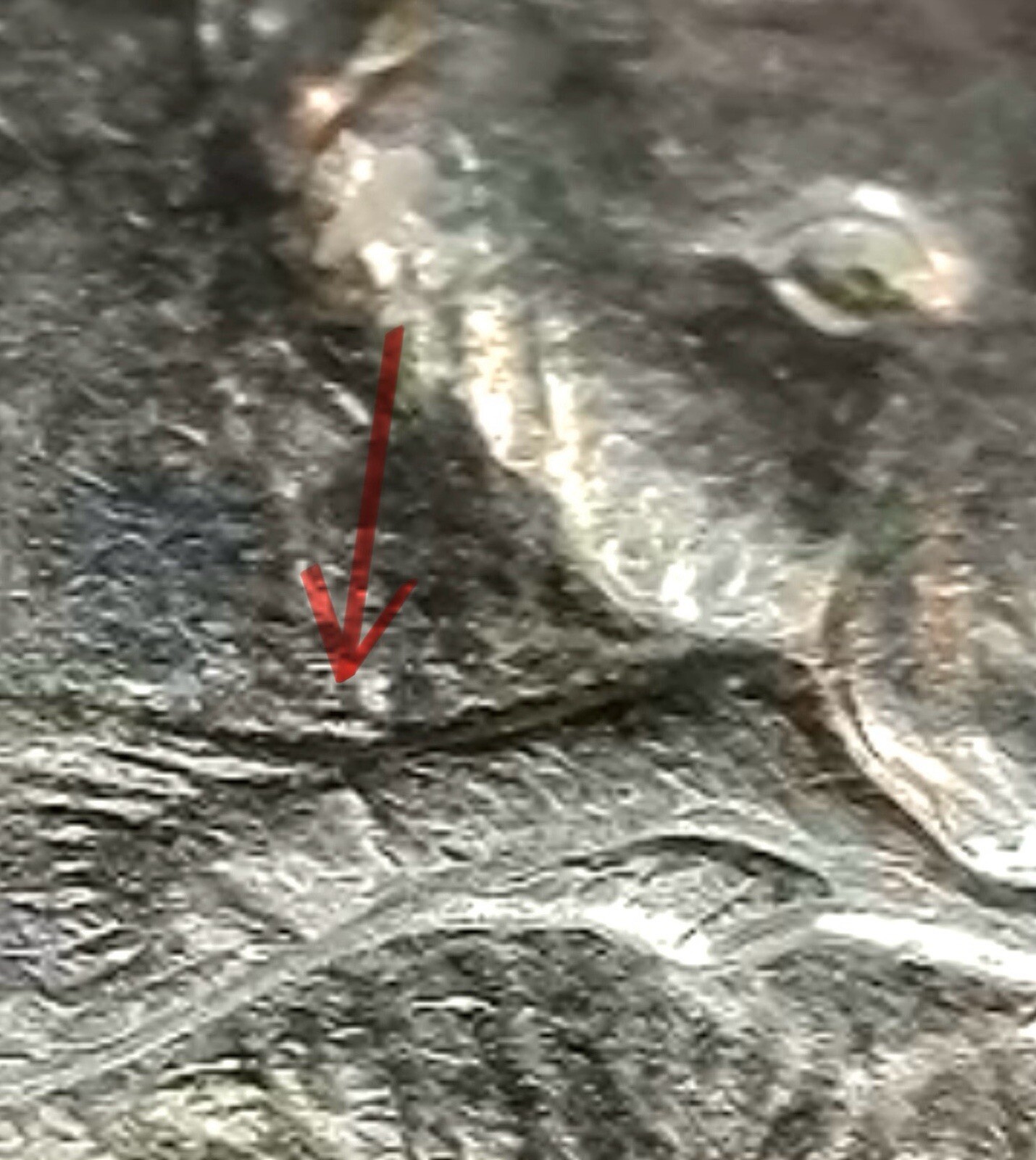 Picture 4 of 6