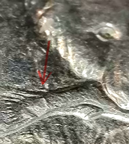 2008 P Alaska State Quarter “Extra Fin” Mutated fish Error Coin - Picture 4 of 6