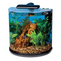 Tetra 29234 Half Moon Aquarium Kit, 10-gallon , New, Free Shipping on sale Tetra 29234 Half Moon Aquarium Kit, 10-gallon , New, Free Shipping on sale