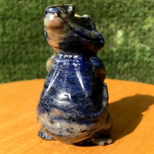 240G Natural Blue-vein stone Quartz Crystal Hand carved crocodile Healing - Picture 4 of 15