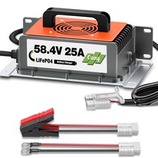 58.4V 25A LiFePO4 Battery Charger for 48V Lithium Iron Phosphate Batteries, Auto