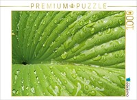 "Calvendo Puzzle An Image From The \"Kraftquelle GrüN\" Calendar | 1000 Pieces, Fin"