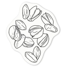 Aufkleber Sticker "Pistazien Nüsse" (DW035258)