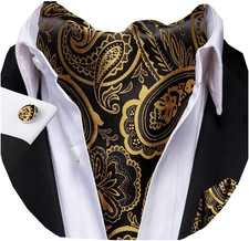 Paisley Floral Ascot for Men Self Tie Mens Cravat and Pocket Square Cufflinks We