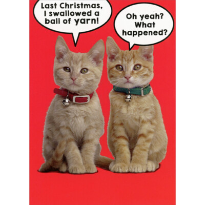 RSVP Two Kittens Swallowed a Ball of Yarn Funny / Humorous Christmas Card