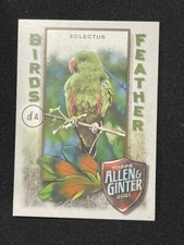 2021 Allen and Ginter Birds of a Feather #BOF-1 Eclectus NM-MT