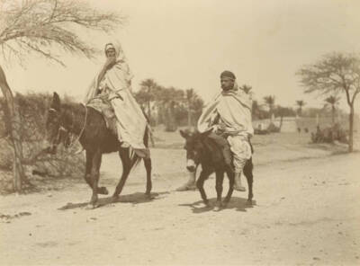 Two Men On Donkeys Algers Algeria Journey To Tanger Oran 1890 Old Photo