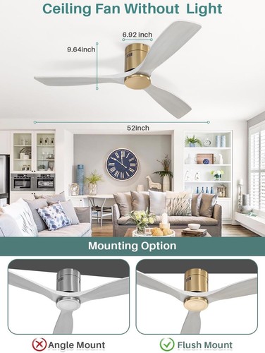 Transitional 52 Inch Indoor/Outdoor Ceiling Fan – Remote, Energy-Saving Design - Picture 8 of 10