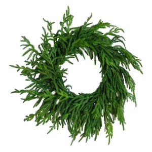 24 in. Norfolk Island Pine Wreath