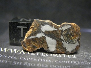Meteorite Néma 003 Eagle Station Group Pallasite (PES)