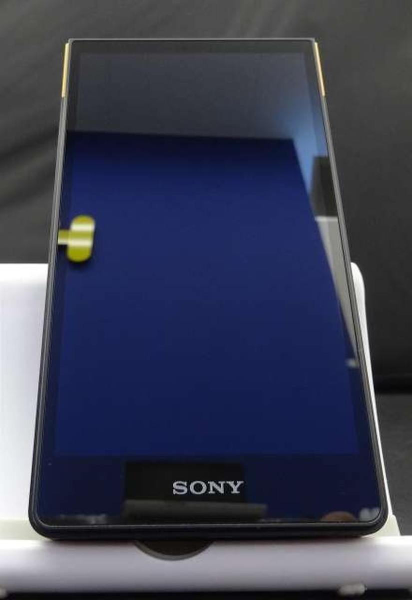 SONY NW-ZX707 Walkman Digital Media Player Tested from Japan JP
