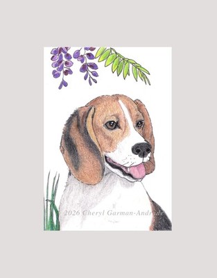 ACEO Print Beagle Dog Pet Portrait Illustration by Cheryl Andrade