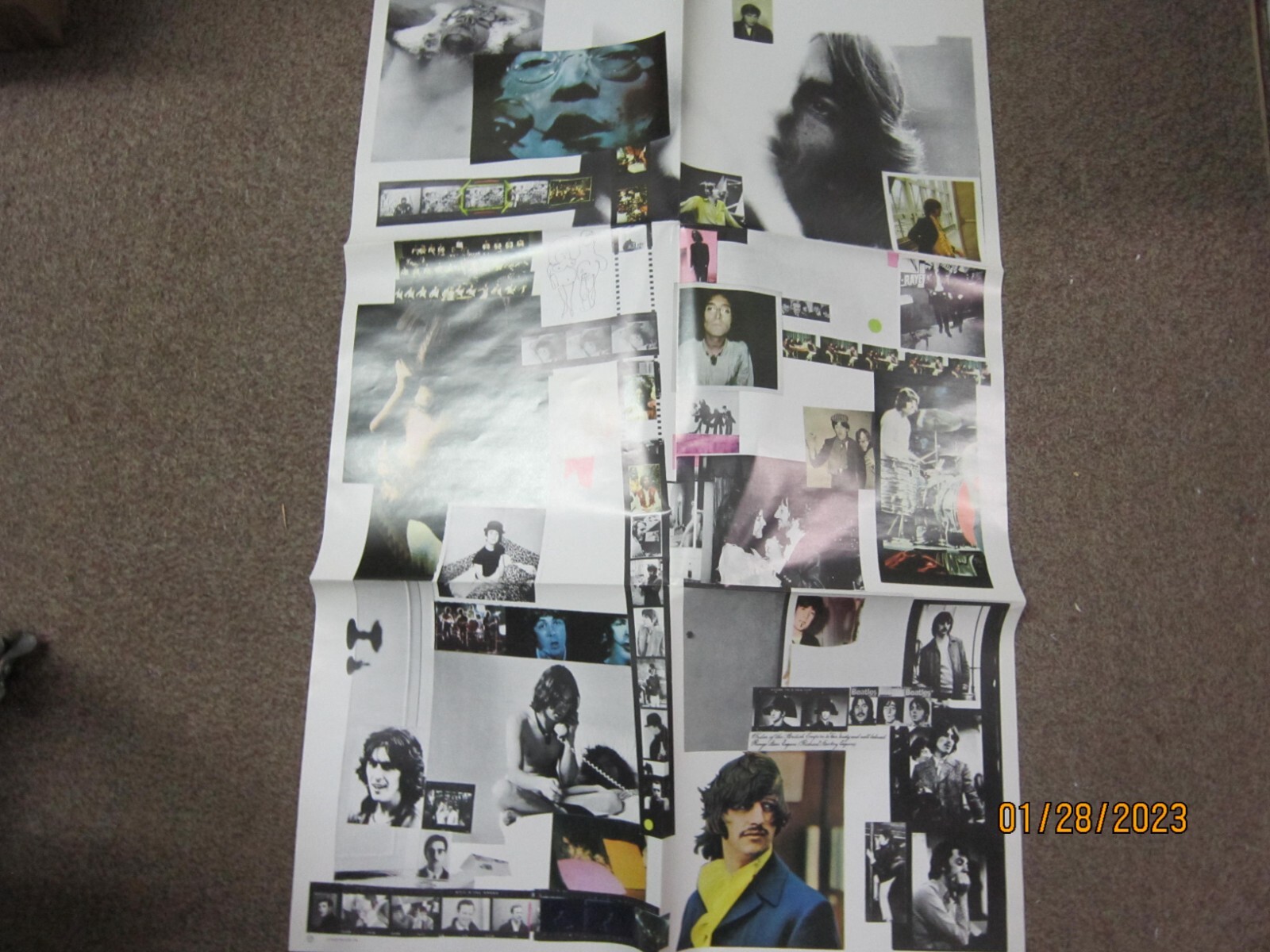 Picture 7 of 14