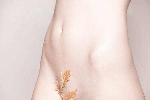 Beating Around The Bush Mounted Fine Art Photo Nude woman wearing leaves eBay