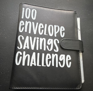 100 Envelope Savings Challenge Budget Binder w/ Tracker Sheet & Cash Envelopes