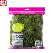 True Green Spanish Moss Preserved Craft Garden Decoration Supplies Pet Friendly