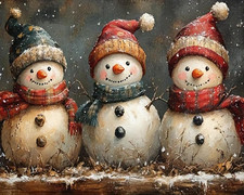 Christmas Paint by Numbers Kit for Adults- Snowman Adult Paint by Number Kits...