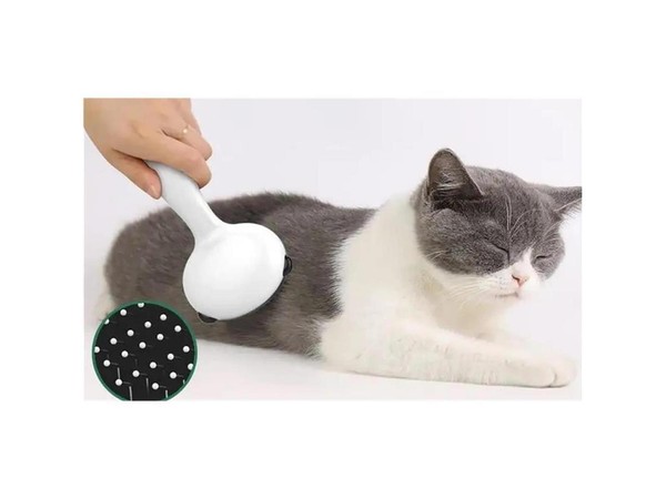 Haustier Kamm BüRste 2Er Set Hund Katze Fellpflege Massage & Haar Entferner-image