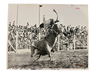 DeVere Helfrich Signed Rodeo Photo Bob Lester Bull Riding Rider Yuma 1963 Cowboy