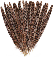 Obmwang 27Pcs 25-30Cm Natural Pheasant Feathers for DIY Craft Wedding Home Party