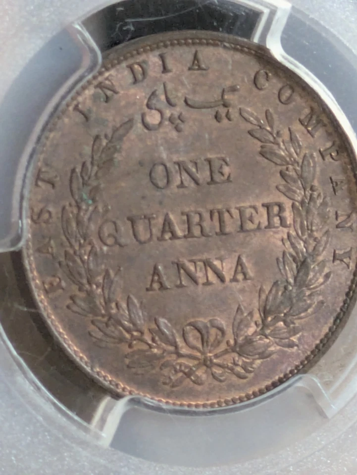 India British 1858 H 1/4 Anna PCGS MS-63 RB SW -3 78 Prid -156 Single Leaf Tips - Image 4 of 4