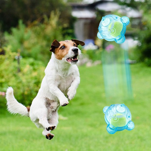 Juguete de bola resistente y duradera de goma para razas pequeñas y medianas perro masticar juguete para buscar - Imagen 6 de 12